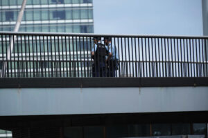 Sydney Tragedy: Couple in Their 40s Die in Apparent Suicide Near Harbour Bridge