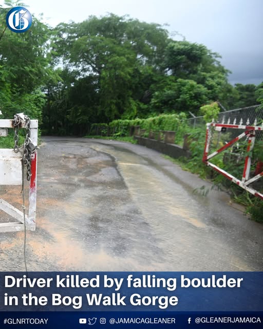 Driver Killed by Falling Boulder in Bog Walk Gorge Identified as 61-Year-Old Labourer