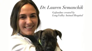 Dr. Lauren Semanchik Veterinarian NJ Obituary, Cause of Death; Family and Friends Demand Justice for Veterinarian Fatally Shot by Ex-Boyfriend